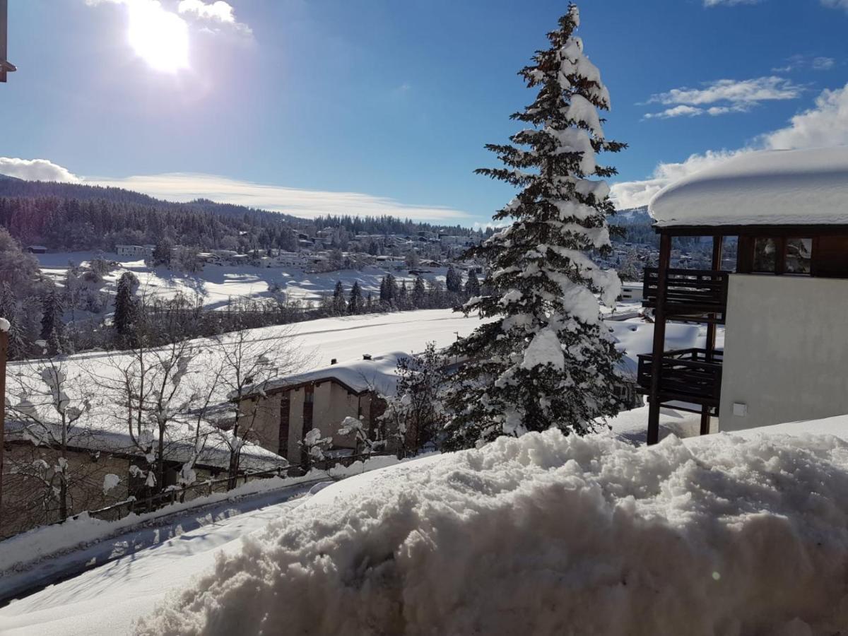 Panorama A23 Fitzi - Ferienwohnung für 1-2 Personen Flims Exterior foto