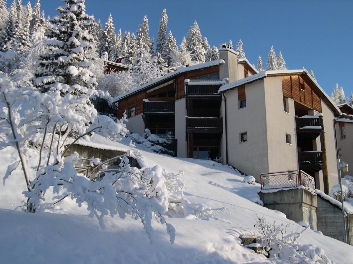 Panorama A23 Fitzi - Ferienwohnung für 1-2 Personen Flims Exterior foto